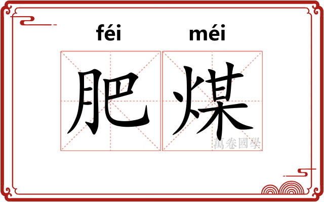 肥煤