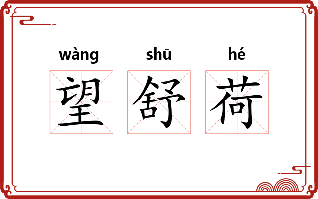 望舒荷