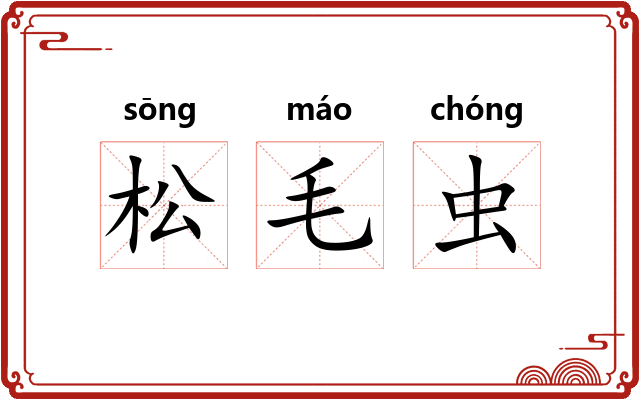 松毛虫