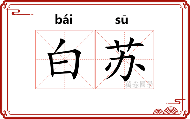 白苏 白苏