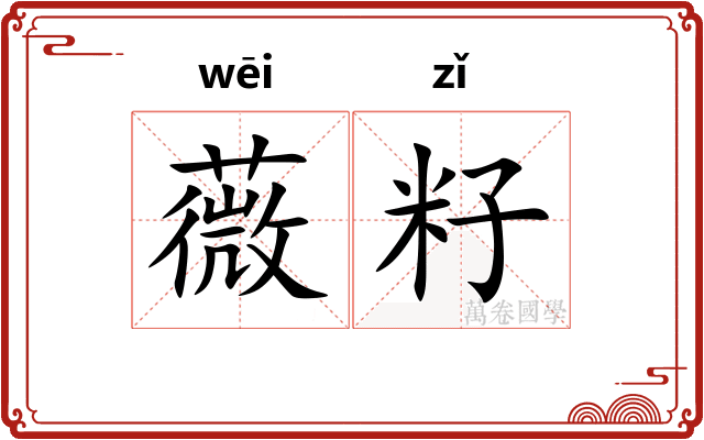 薇籽