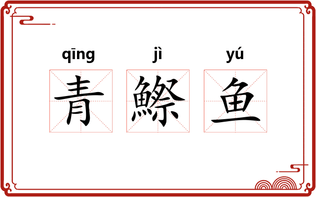 青鰶鱼 青鰶鱼