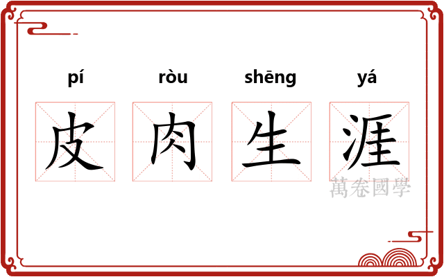 皮肉生涯