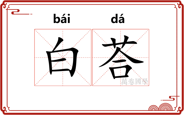 白荅