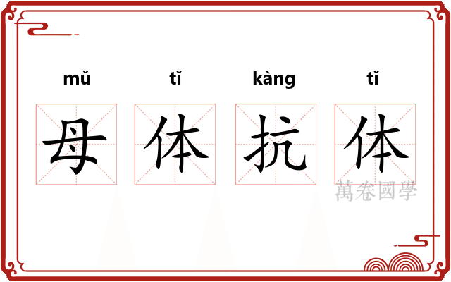 母体抗体