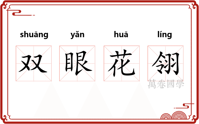 双眼花翎