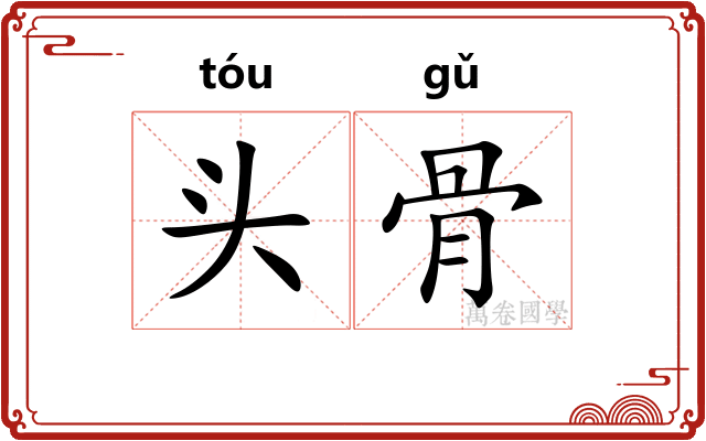 头骨