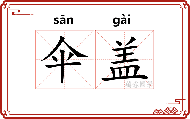 伞盖