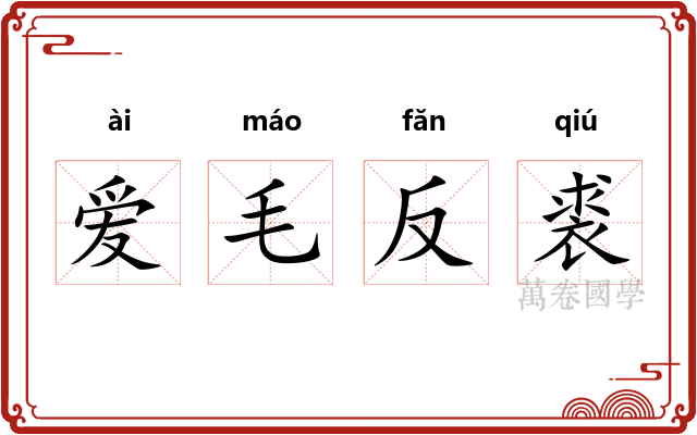 爱毛反裘