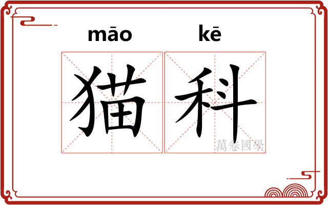 猫科