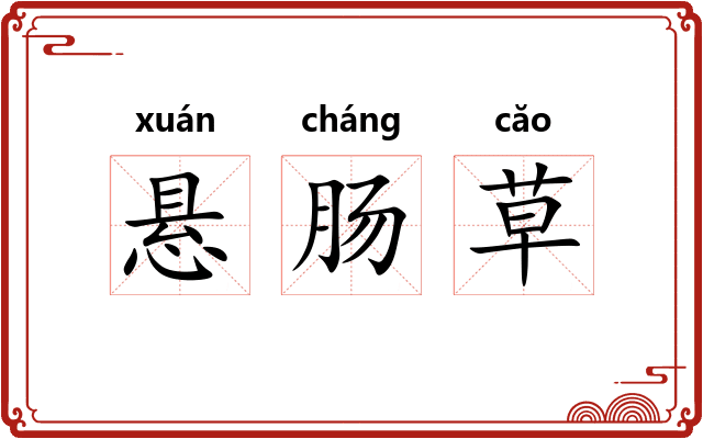 悬肠草 悬肠草