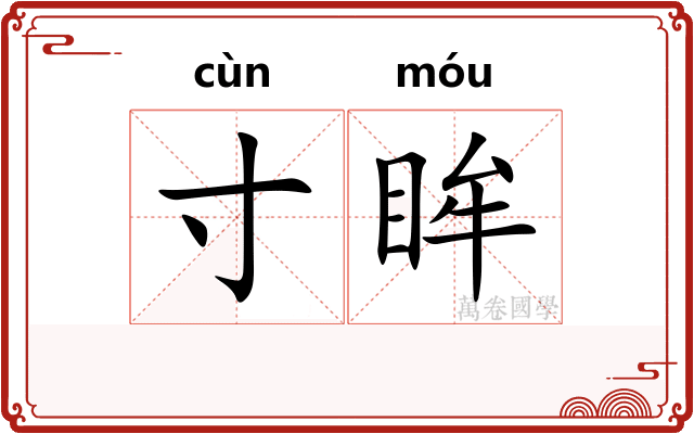 寸眸