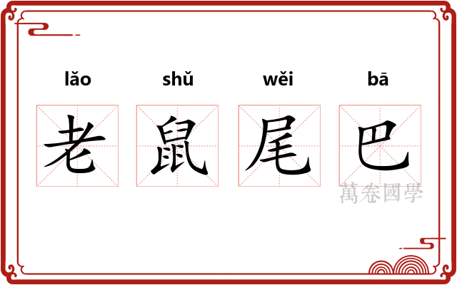 老鼠尾巴 老鼠尾巴