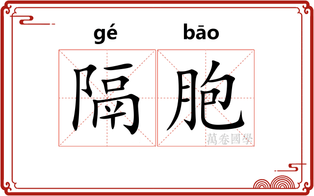 隔胞