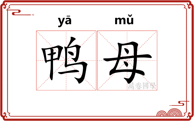 鸭母