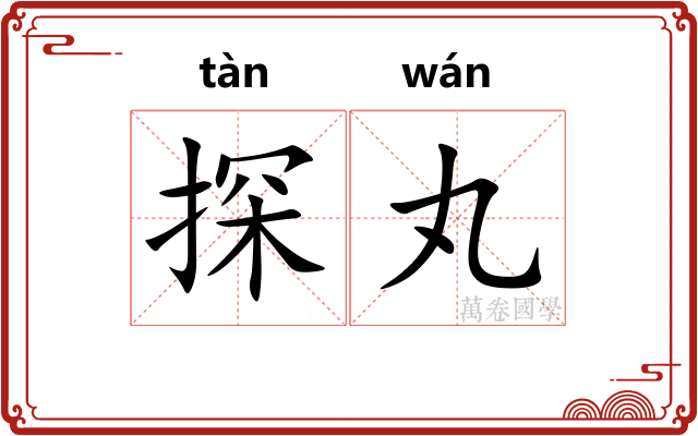 探丸