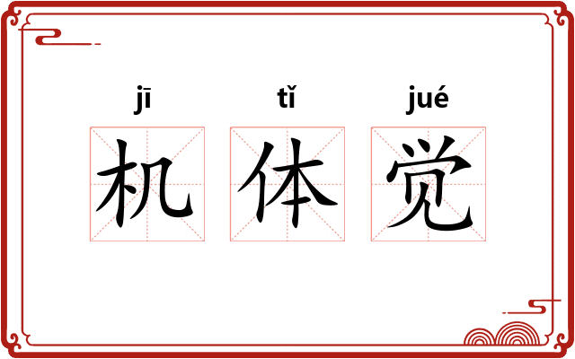 机体觉