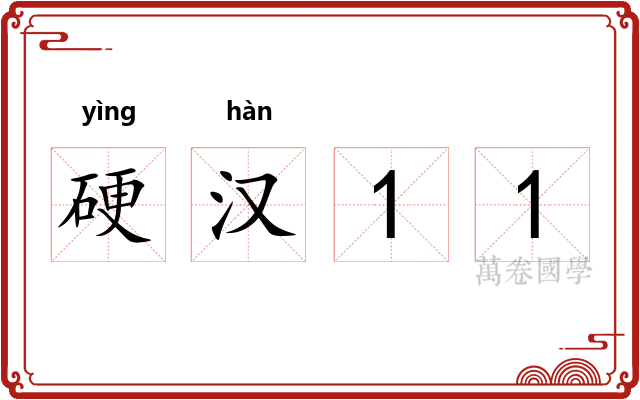 硬汉11