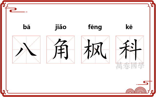 八角枫科 八角枫科