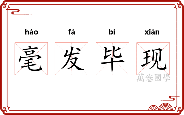 毫发毕现