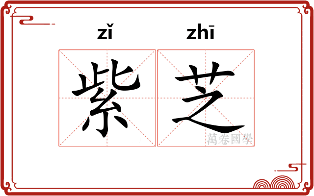 紫芝