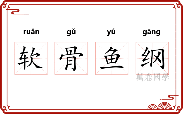 软骨鱼纲 软骨鱼纲
