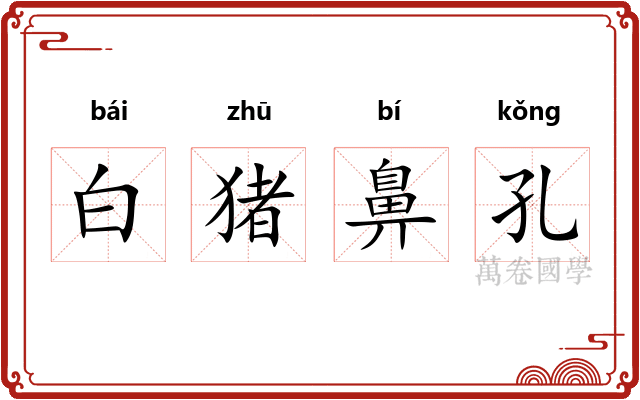 白猪鼻孔