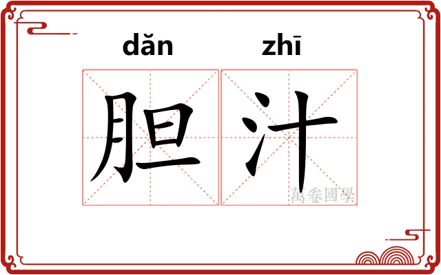 胆汁