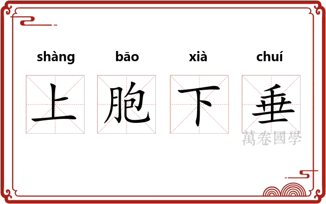 上胞下垂 上胞下垂