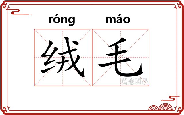 绒毛 绒毛