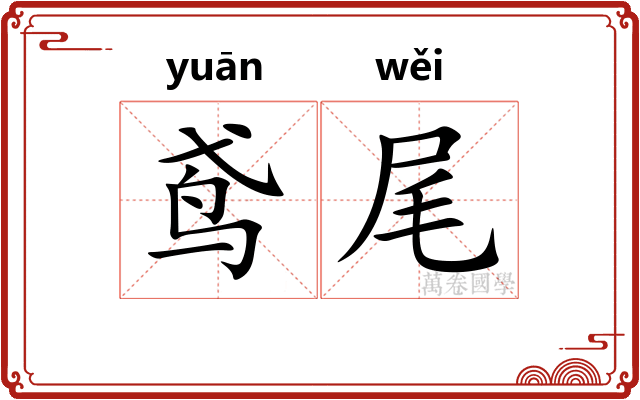 鸢尾 鸢尾