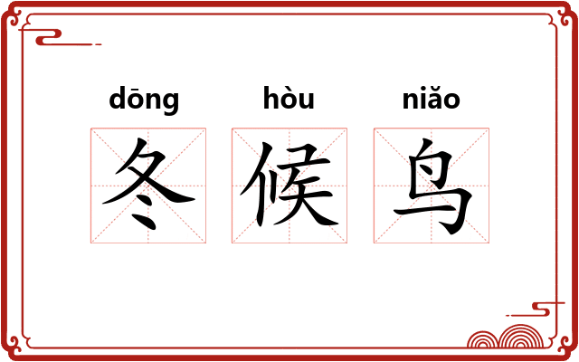 冬候鸟