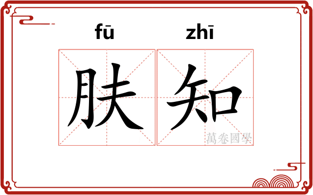 肤知 肤知
