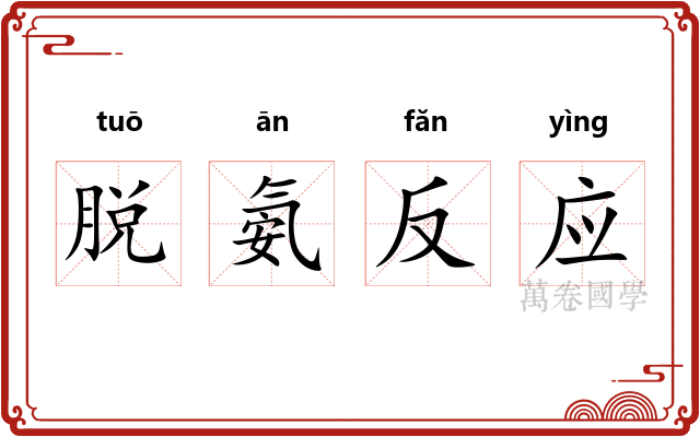 脱氨反应
