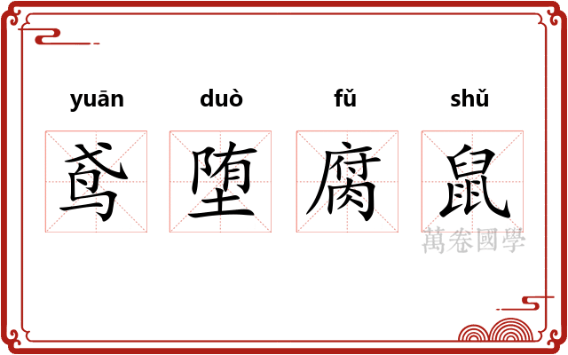 鸢堕腐鼠