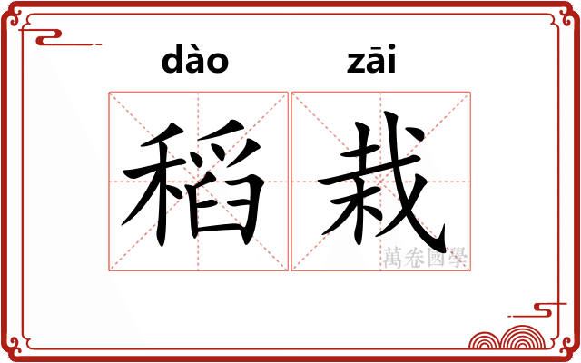 稻栽