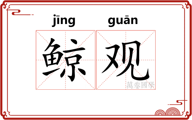 鲸观