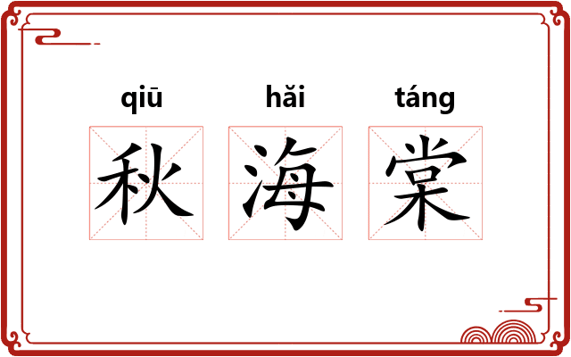 秋海棠