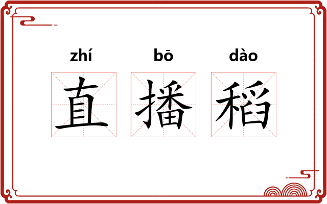 直播稻 直播稻