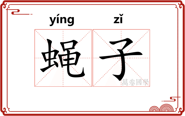 蝇子