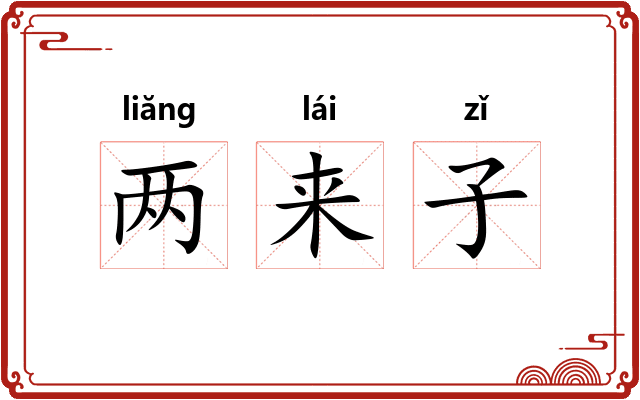 两来子 两来子
