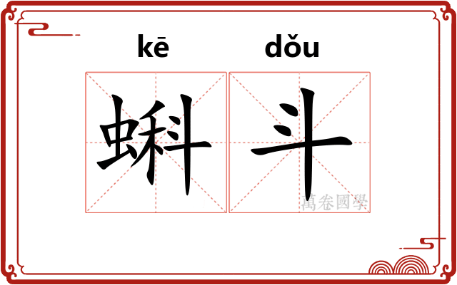 蝌斗