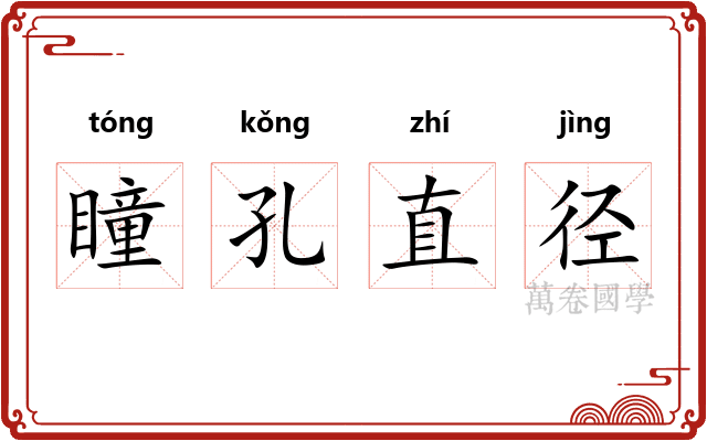 瞳孔直径 瞳孔直径