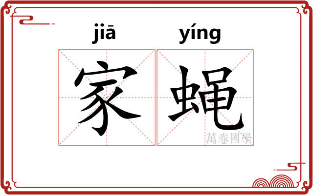 家蝇