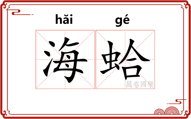 海蛤 海蛤