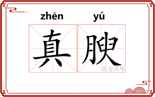 真腴