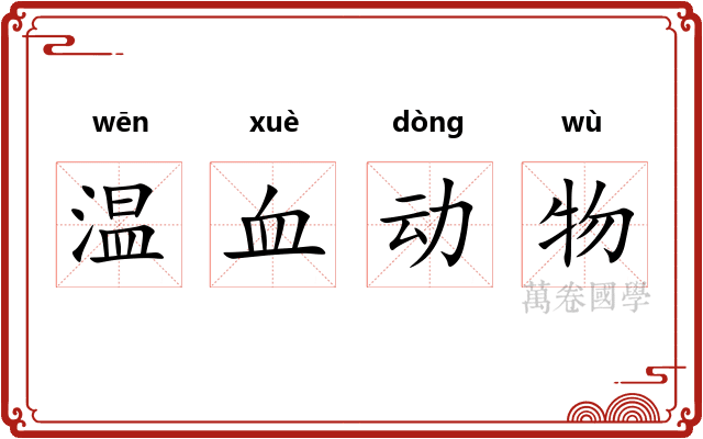 温血动物