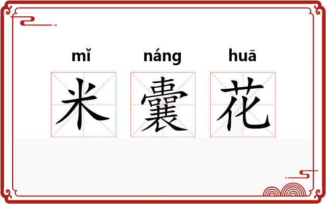 米囊花