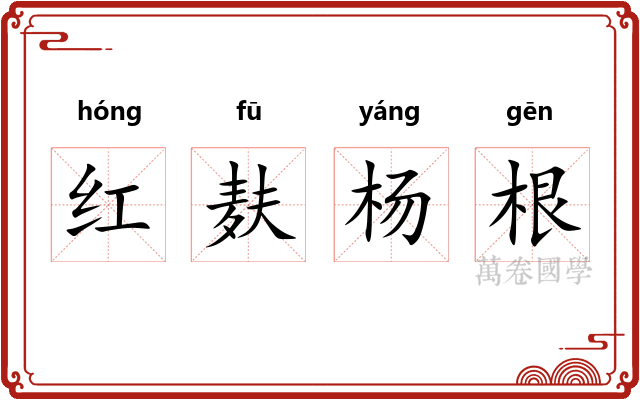 红麸杨根