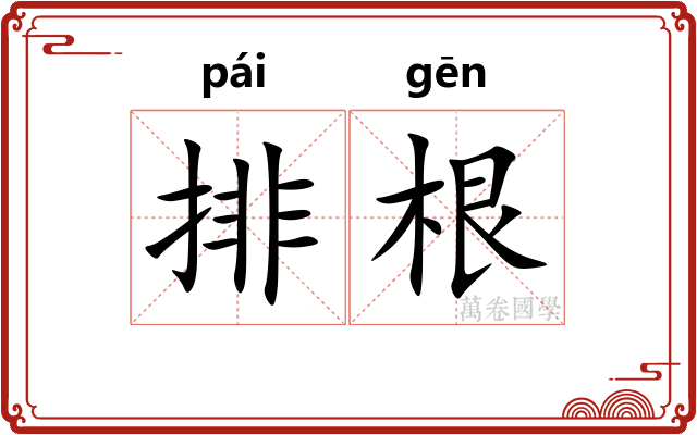 排根 排根